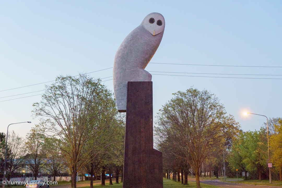 Mr Owl | SONY ILCE-7S with E 35mm F1.8 OSS at 35mm and f/4, 1/100sec, ISO 1250
