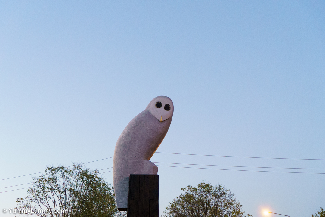 Owl Statue | SONY ILCE-7S with E 35mm F1.8 OSS at 35mm and f/4, 1/100sec, ISO 3200