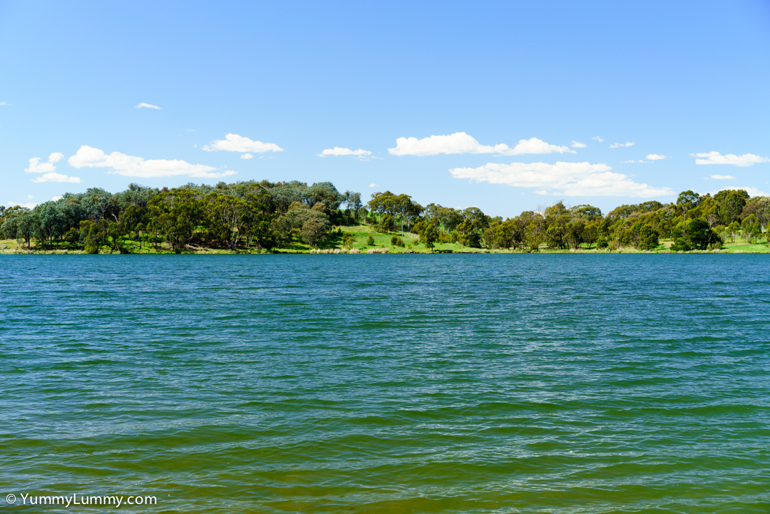 Lake Ginninderra | SONY ILCE-7S with FE 55mm F1.8 ZA at 55mm and f/8, 1/250sec, ISO 500